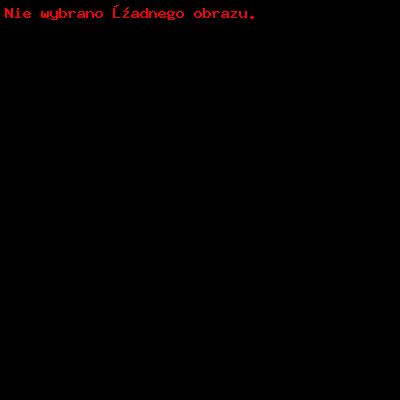 RÓŻNE_1